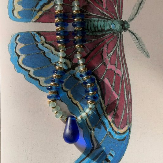 Clipper Butterfly