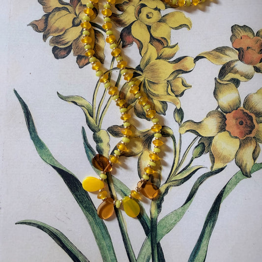 Daffodil Petal