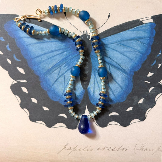 Morpho Butterfly