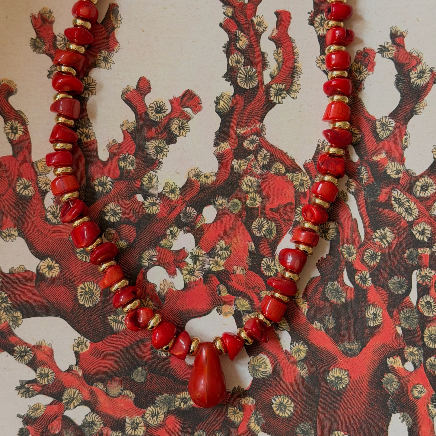 The Red Reef