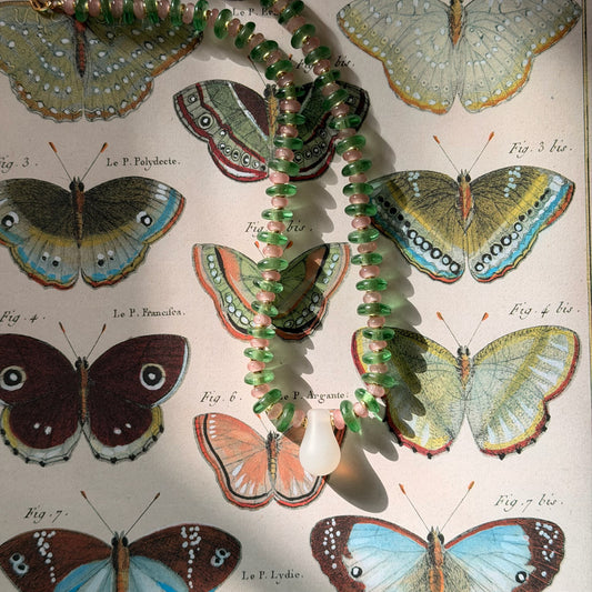 Celadon Flutter