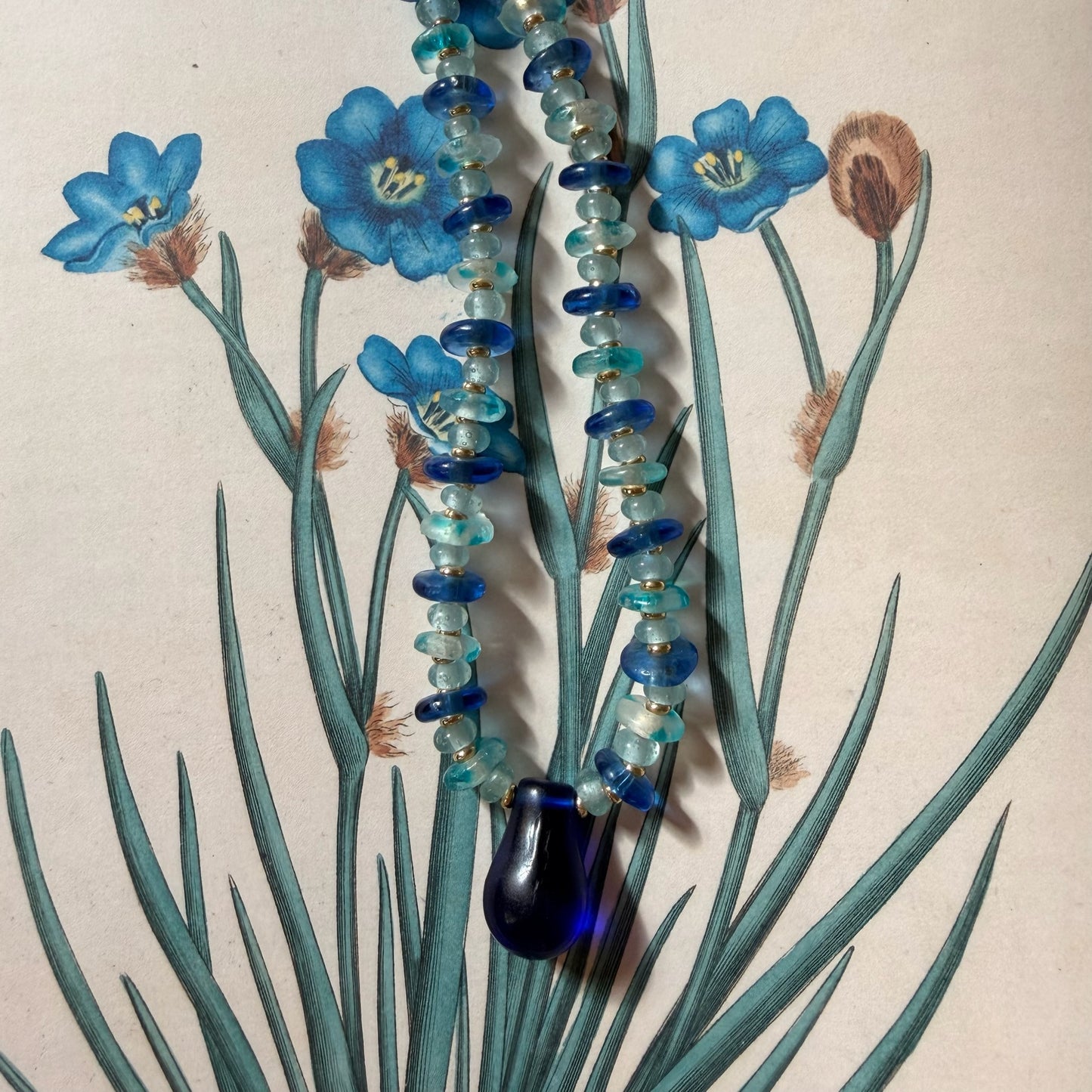 Blue Bloom